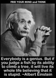 20111216165613-einstein.jpg